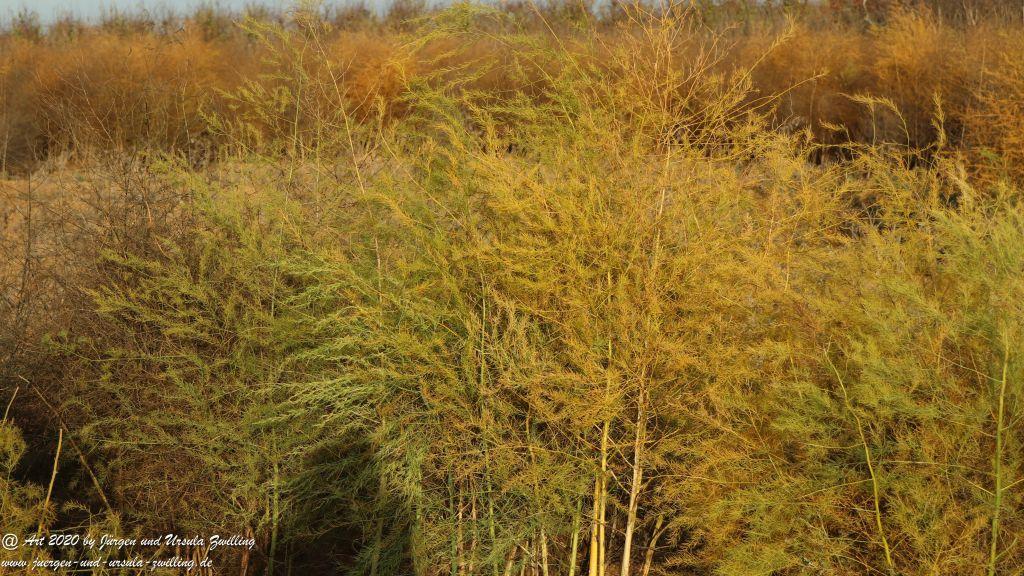 November in Rheinhessen