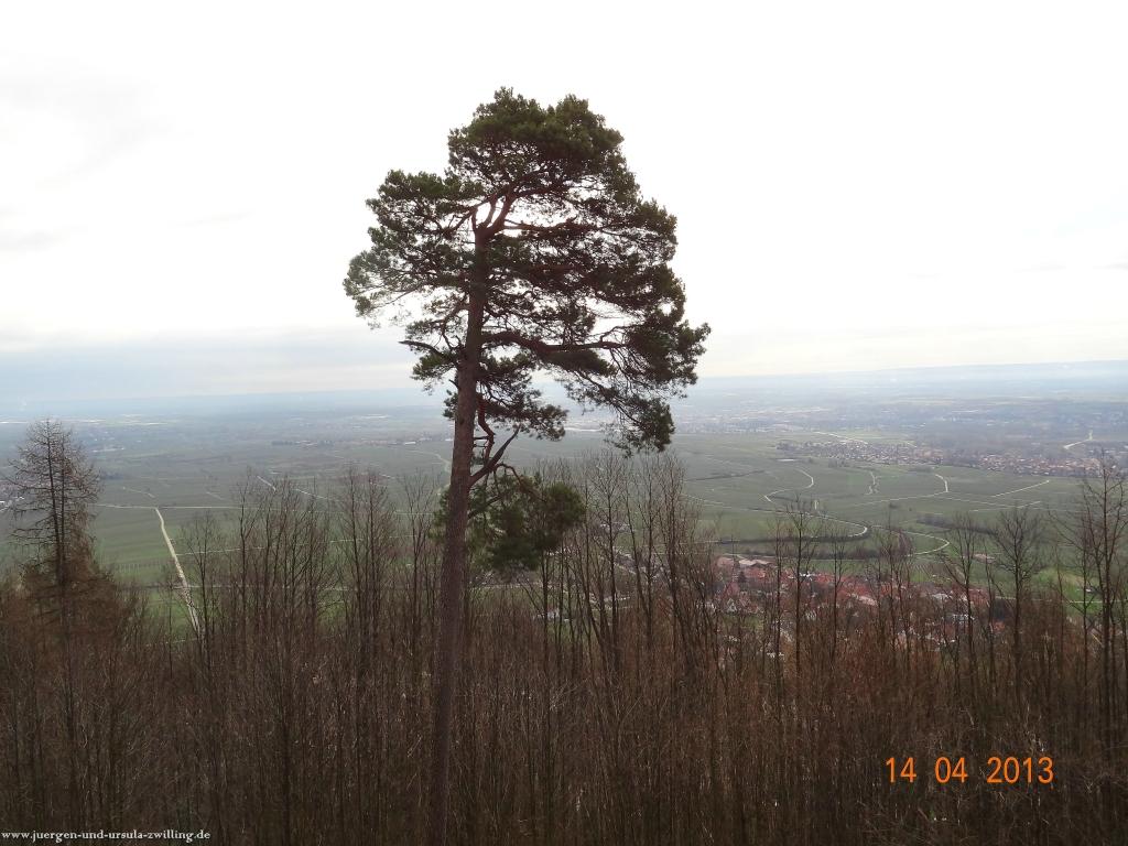 Wandertour Pfälzer Hüttentour