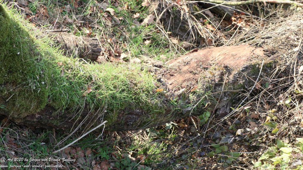 November in Rheinhessen