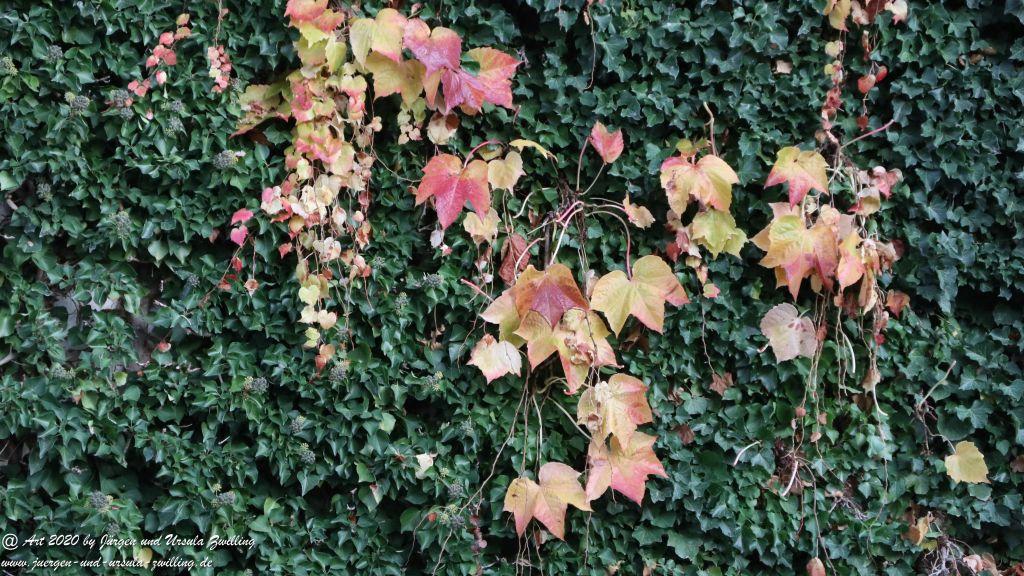 November in Rheinhessen