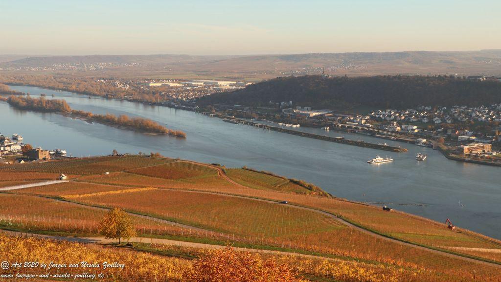 Rhein November Sonne - Rüdesheim