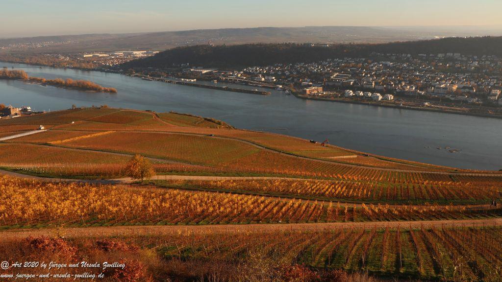 Rhein November Sonne - Rüdesheim