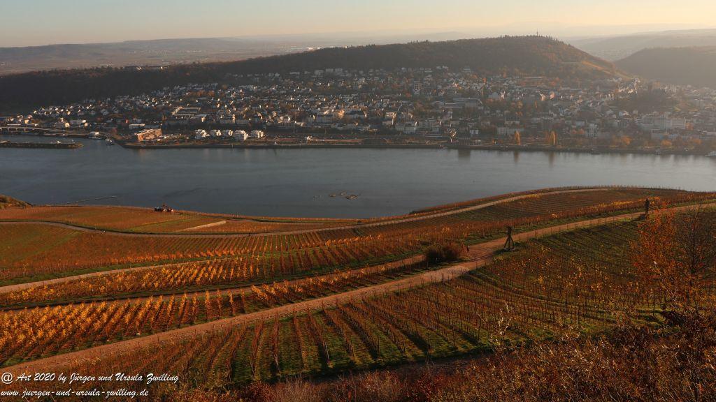 Rhein November Sonne - Rüdesheim