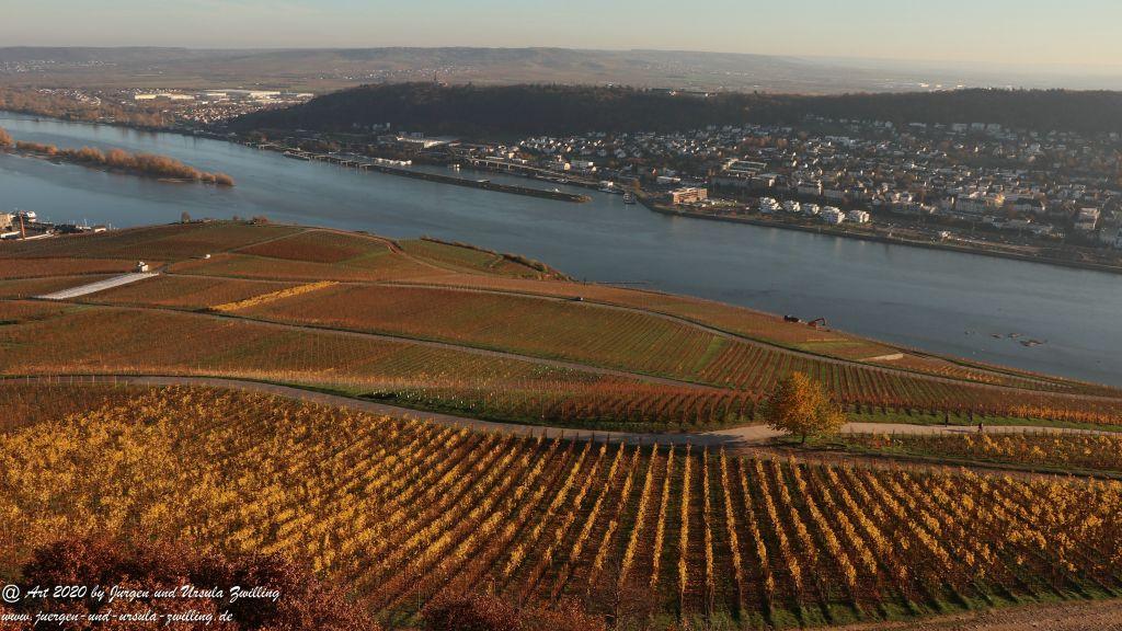Rhein  November  Sonne - Rüdesheim