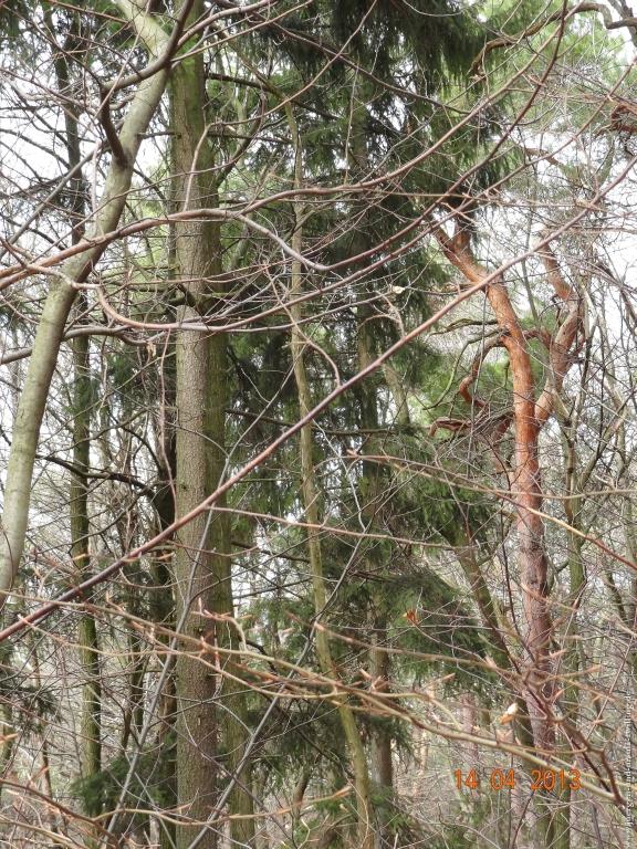 Wandertour Pfälzer Hüttentour