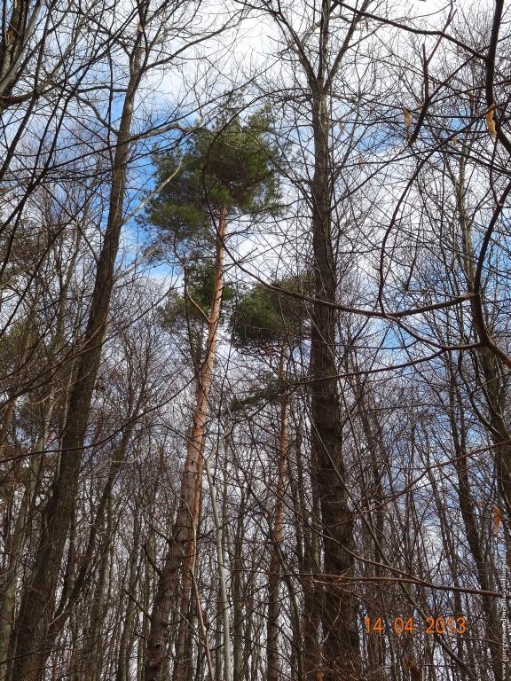 Wandertour Pfälzer Hüttentour
