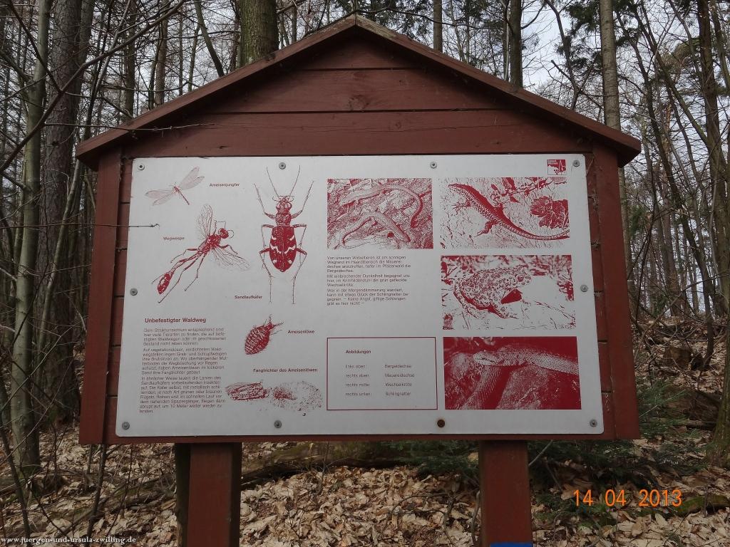 Wandertour Pfälzer Hüttentour