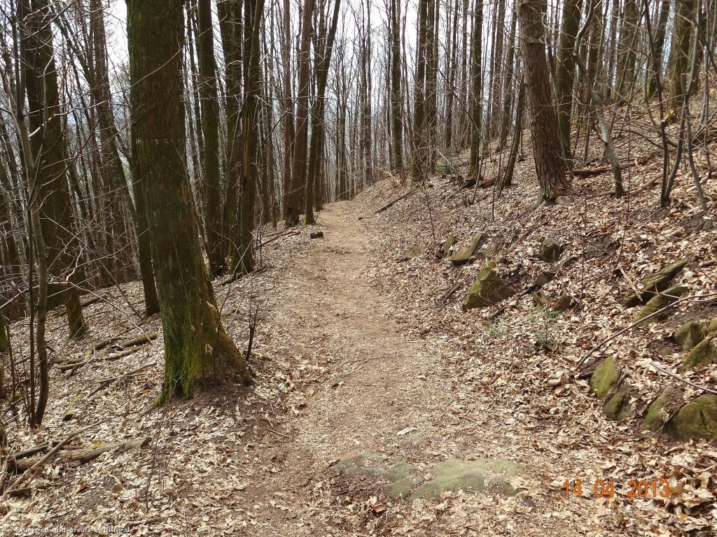 Wandertour Pfälzer Hüttentour