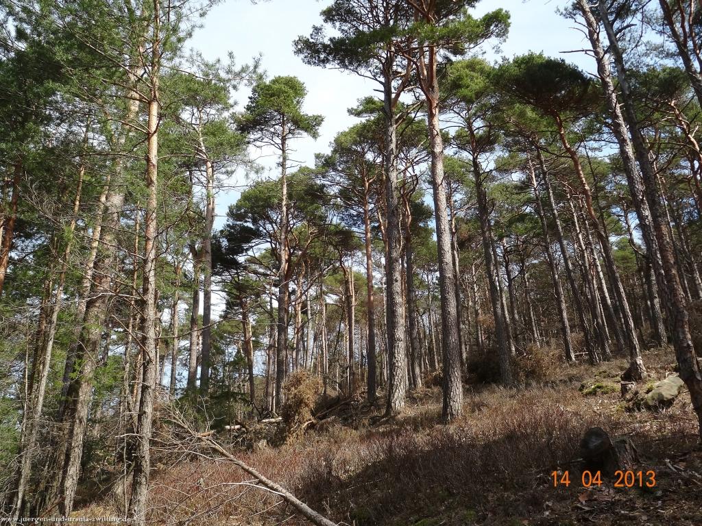 Wandertour  Pfälzer Hüttentour