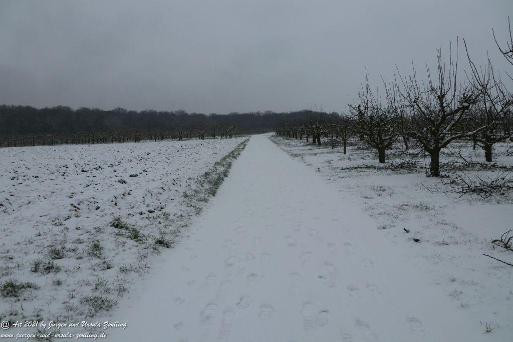 Schnee in Rheinhessen - Mainz Finthen - Ober Olmer Wald