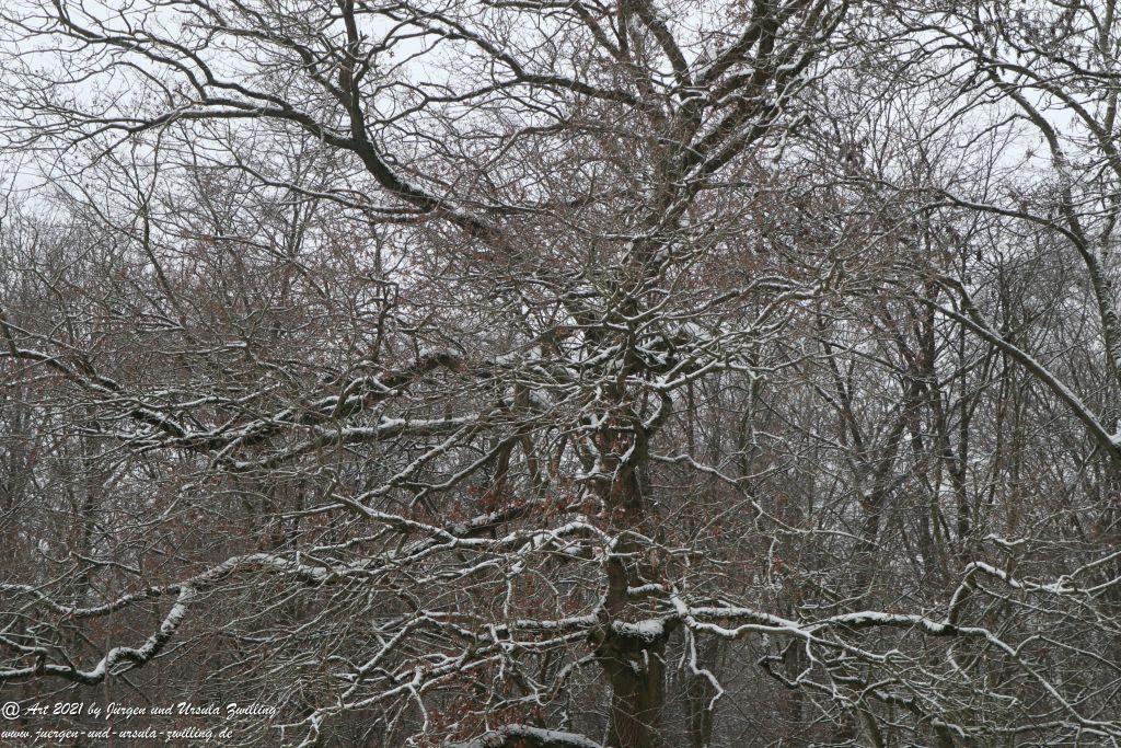 Schnee in Rheinhessen - Mainz Finthen - Ober Olmer Wald