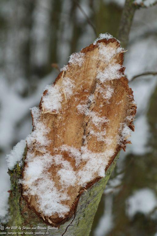 Schnee in Rheinhessen - Mainz Finthen - Ober Olmer Wald