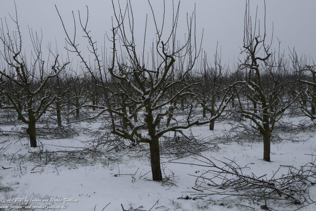 Schnee in Rheinhessen - Mainz Finthen - Ober Olmer Wald