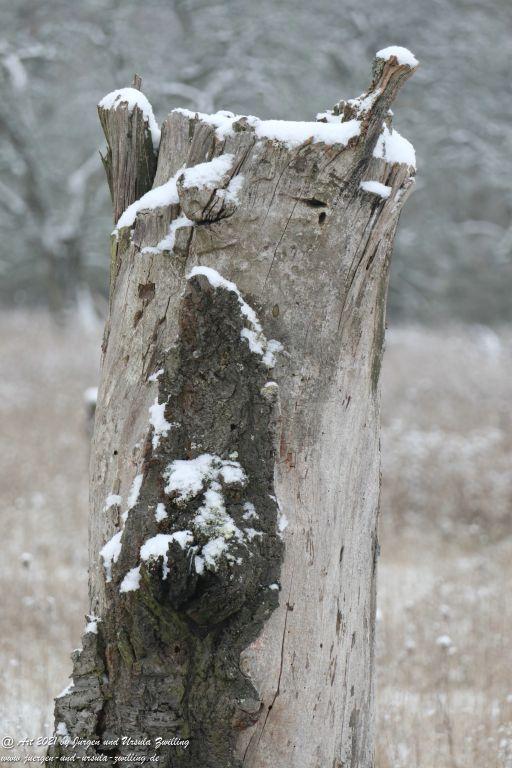 Schnee in Rheinhessen - Mainz Finthen - Ober Olmer Wald