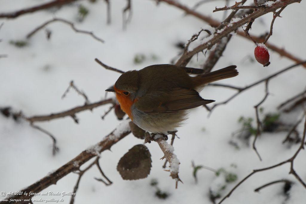 Schnee in Rheinhessen - Mainz Finthen - Ober Olmer Wald