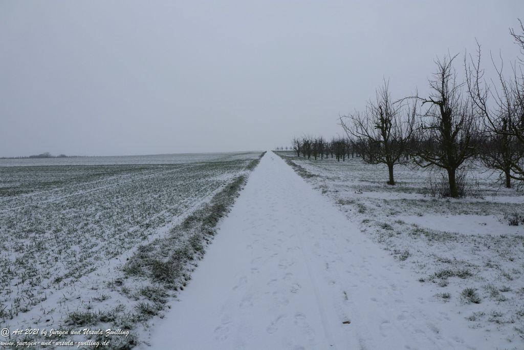 Schnee in Rheinhessen - Mainz Finthen - Ober Olmer Wald
