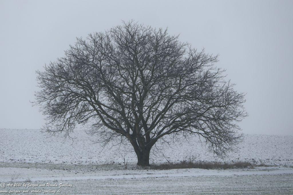 Schnee in Rheinhessen - Mainz Finthen - Ober Olmer Wald