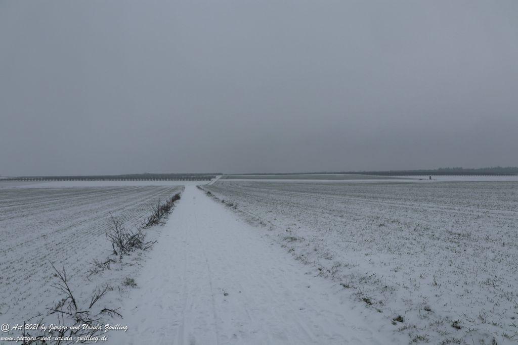 Schnee in Rheinhessen - Mainz Finthen - Ober Olmer Wald