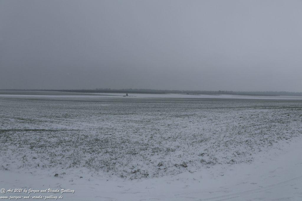 Schnee in Rheinhessen - Mainz Finthen - Ober Olmer Wald