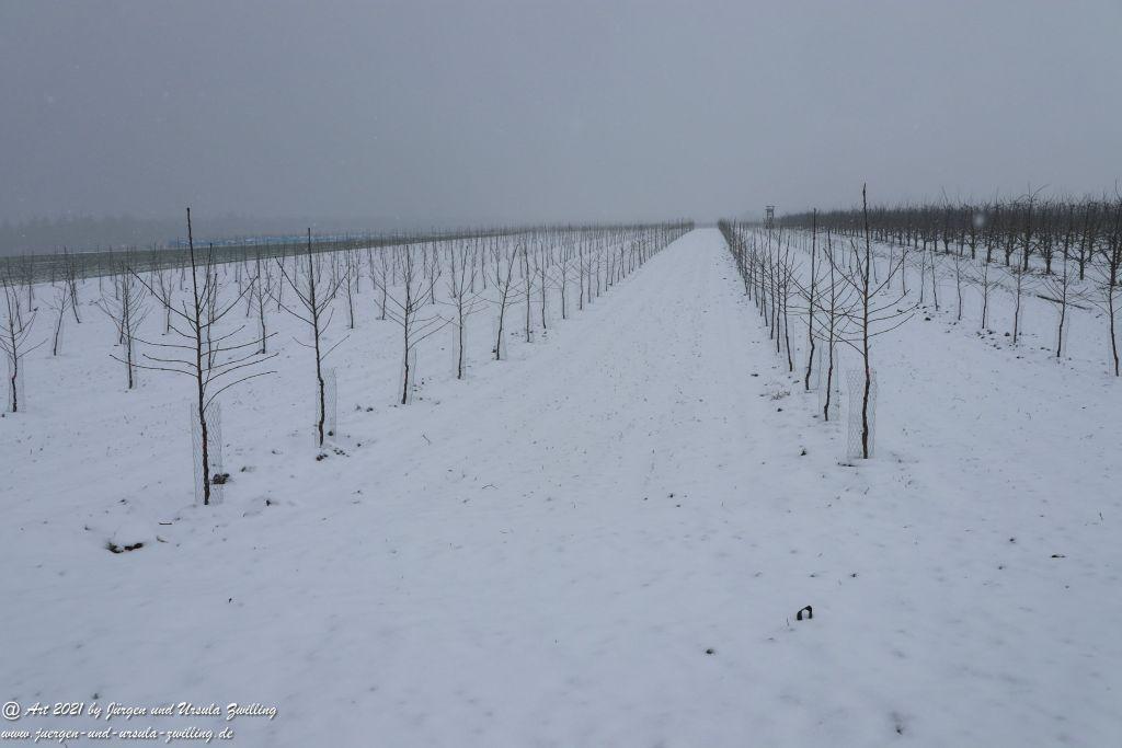 Schnee in Rheinhessen - Mainz Finthen - Ober Olmer Wald