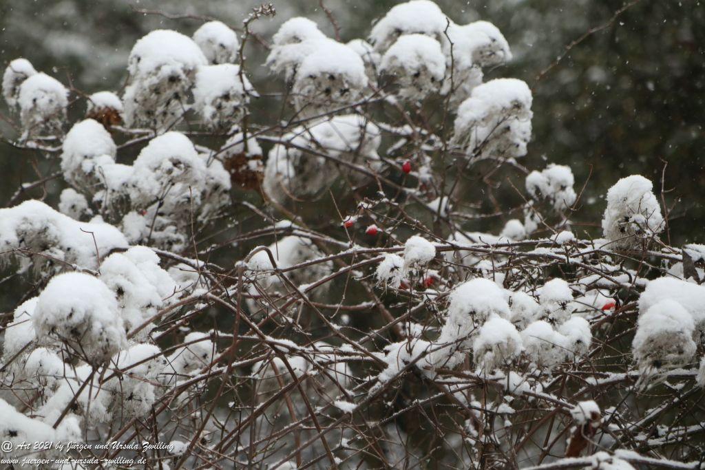 Schnee in Rheinhessen - Mainz Finthen - Ober Olmer Wald