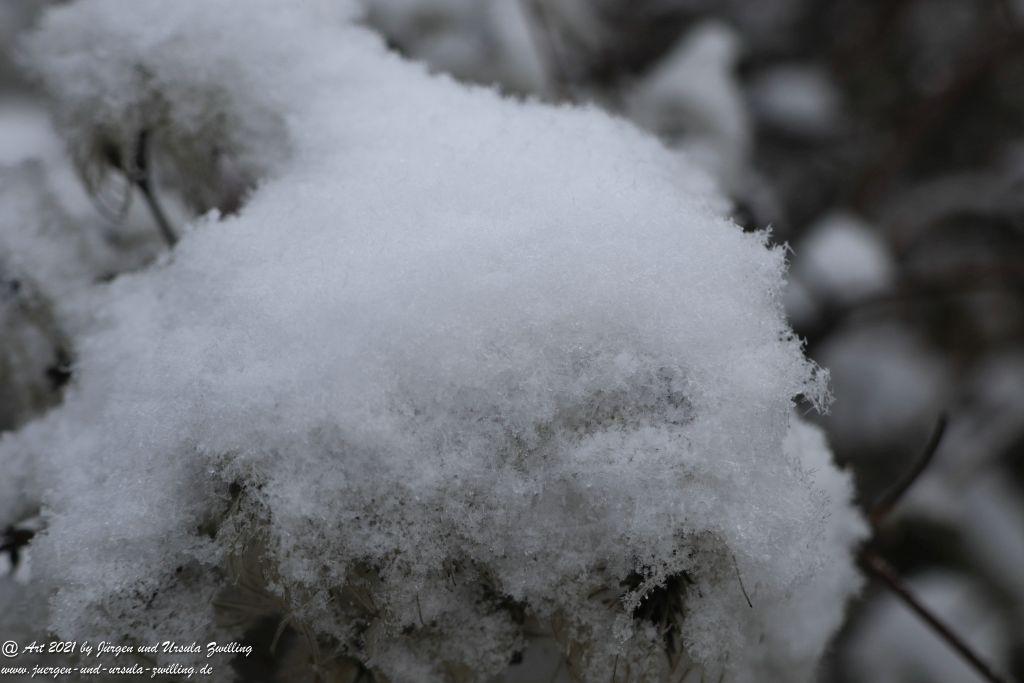 Schnee in Rheinhessen - Mainz Finthen - Ober Olmer Wald