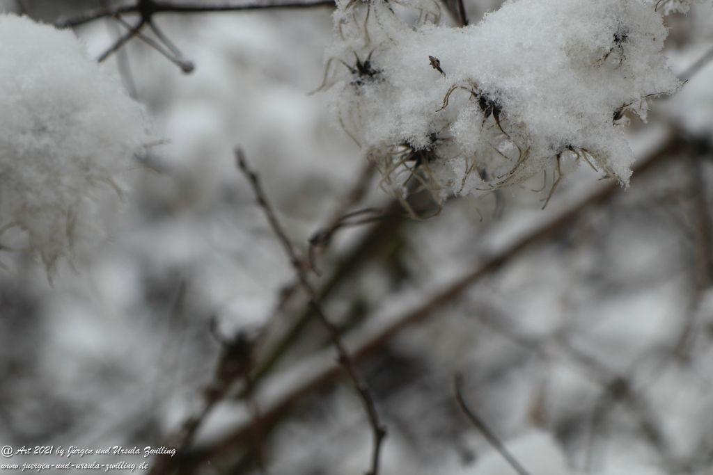 Schnee in Rheinhessen - Mainz Finthen - Ober Olmer Wald