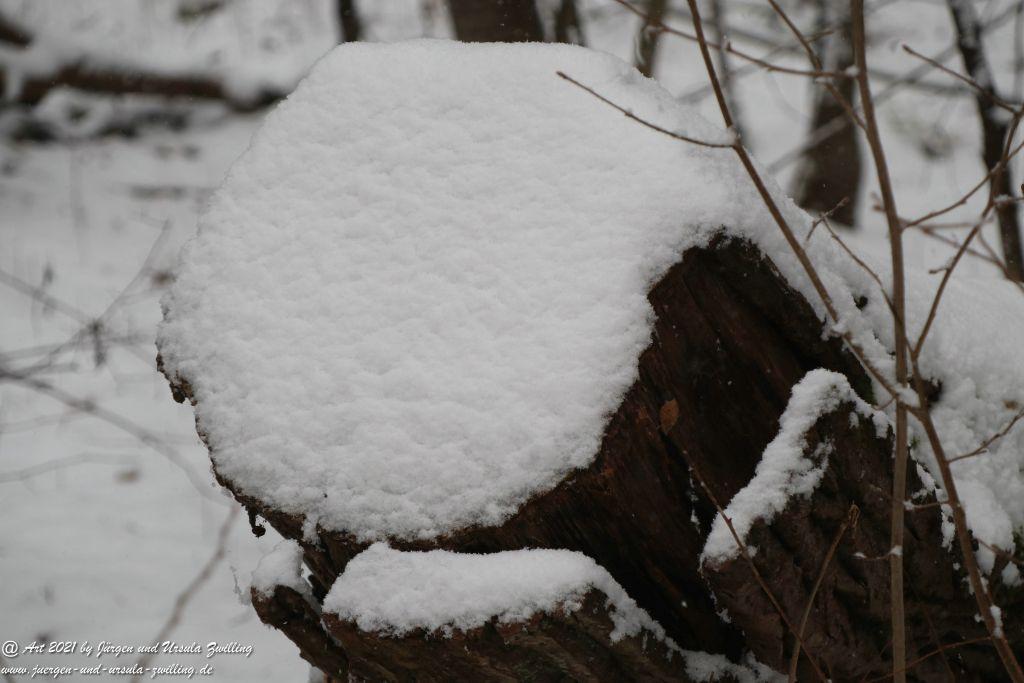 Schnee in Rheinhessen - Mainz Finthen - Ober Olmer Wald