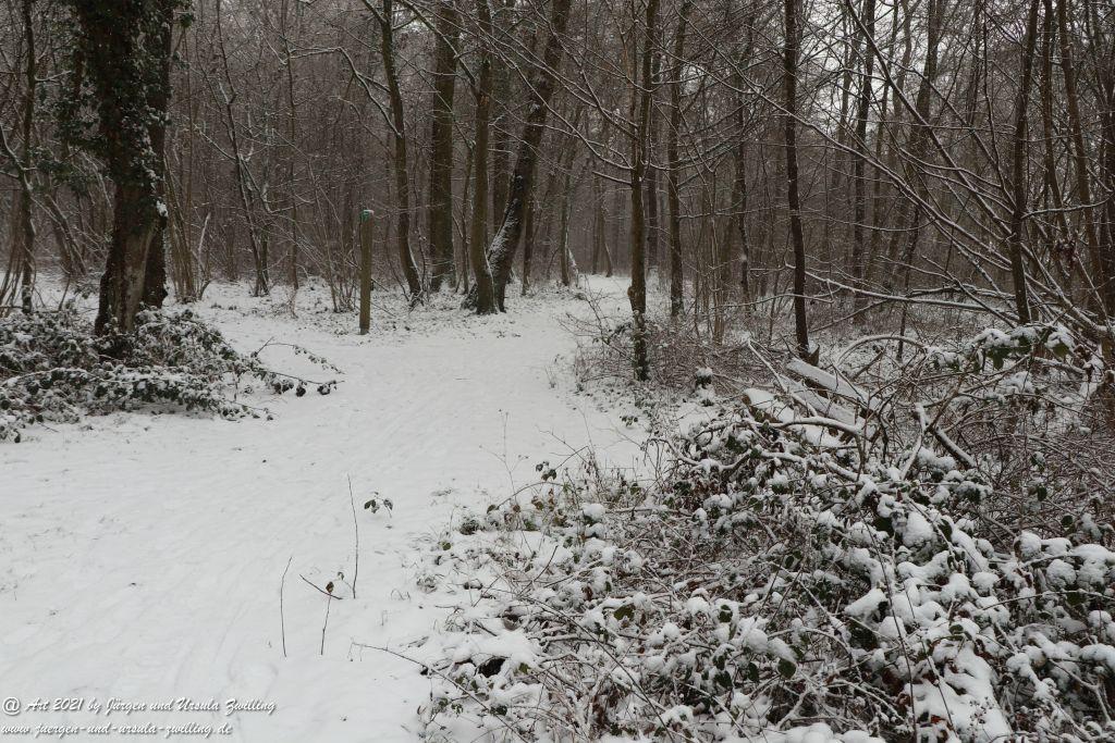 Schnee in Rheinhessen - Mainz Finthen - Ober Olmer Wald