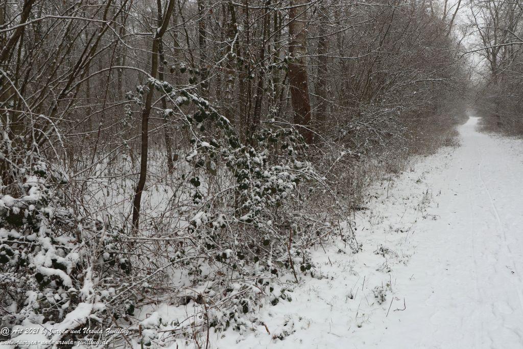 Schnee in Rheinhessen - Mainz Finthen - Ober Olmer Wald