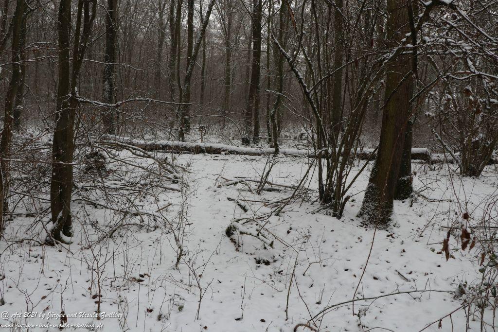 Schnee in Rheinhessen - Mainz Finthen - Ober Olmer Wald