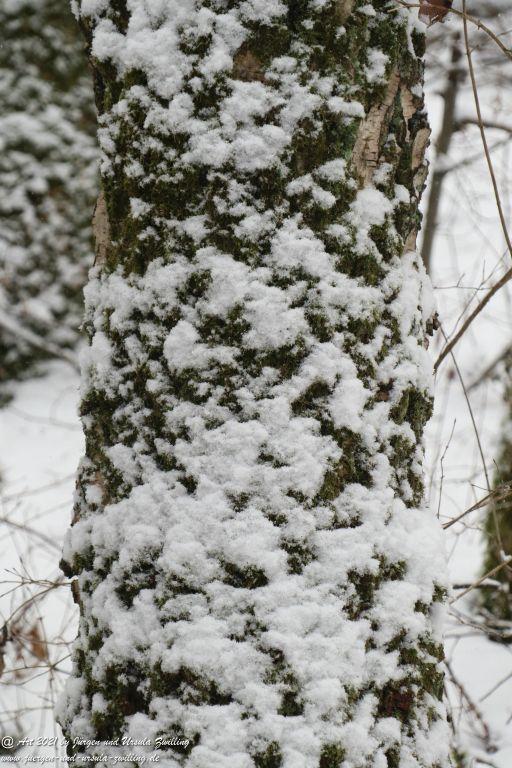 Schnee in Rheinhessen - Mainz Finthen - Ober Olmer Wald