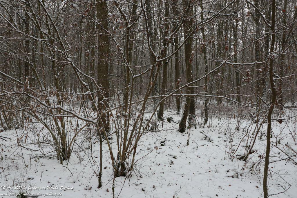 Schnee in Rheinhessen - Mainz Finthen - Ober Olmer Wald