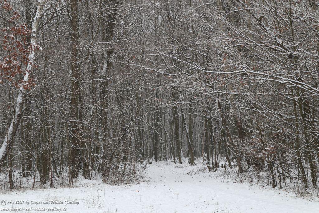 Schnee in Rheinhessen - Mainz Finthen - Ober Olmer Wald