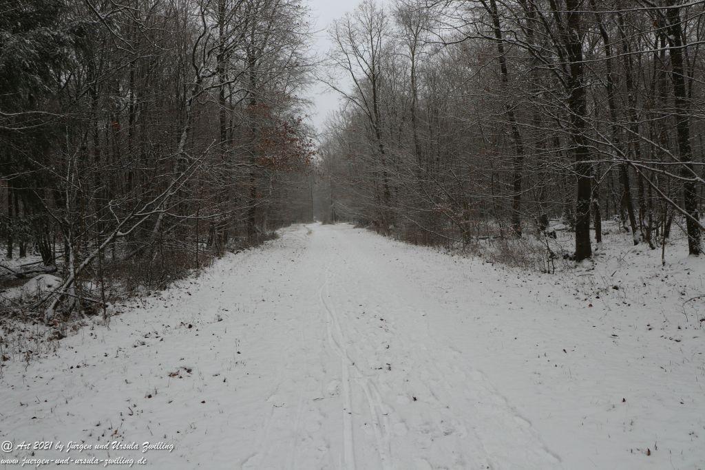 Schnee in Rheinhessen - Mainz Finthen - Ober Olmer Wald