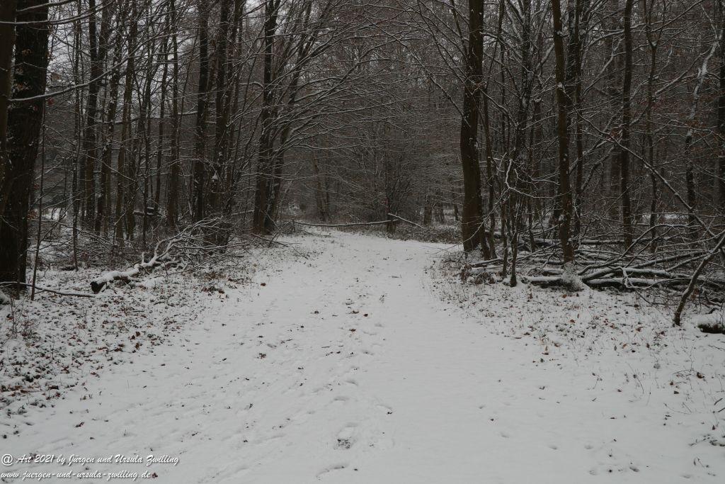 Schnee in Rheinhessen - Mainz Finthen - Ober Olmer Wald