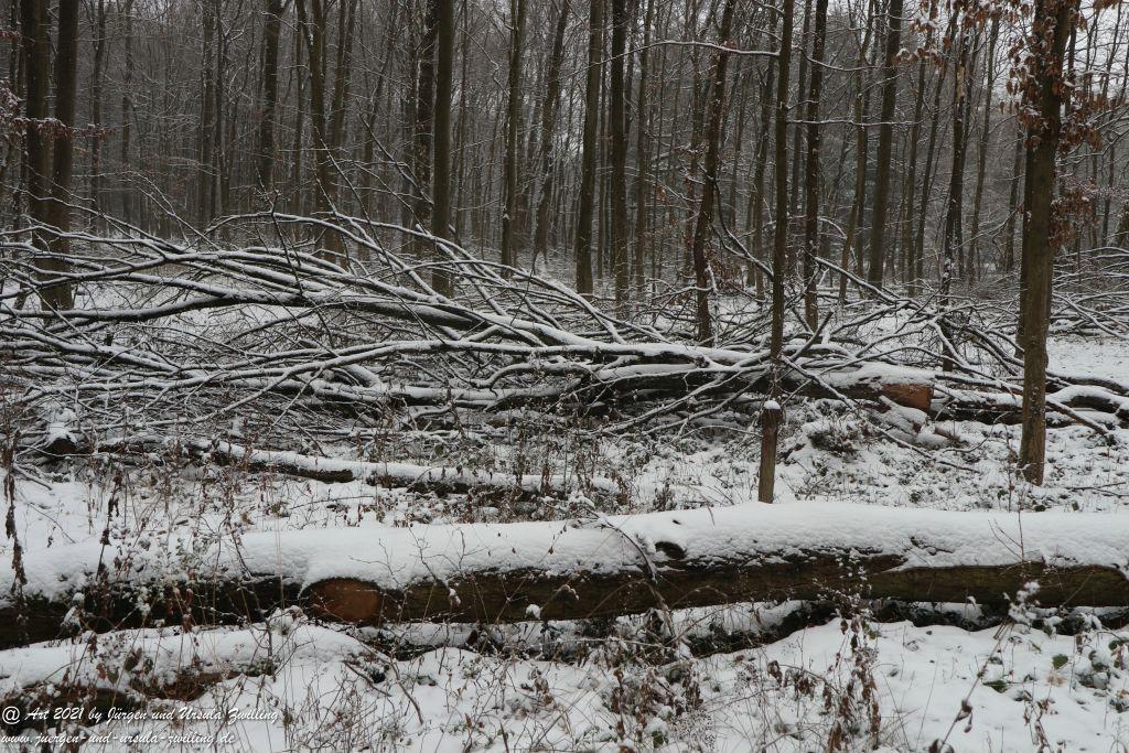 Schnee in Rheinhessen - Mainz Finthen - Ober Olmer Wald