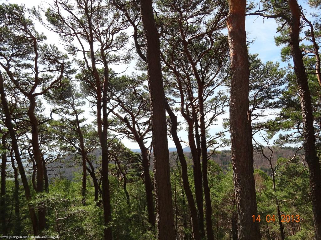 Wandertour  Pfälzer Hüttentour