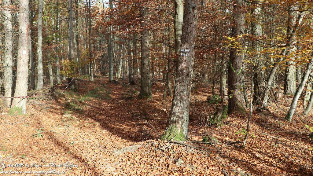 Philosophische Bildwanderung Wollmerschieder Grenzweg Wisper Trail - Taunus