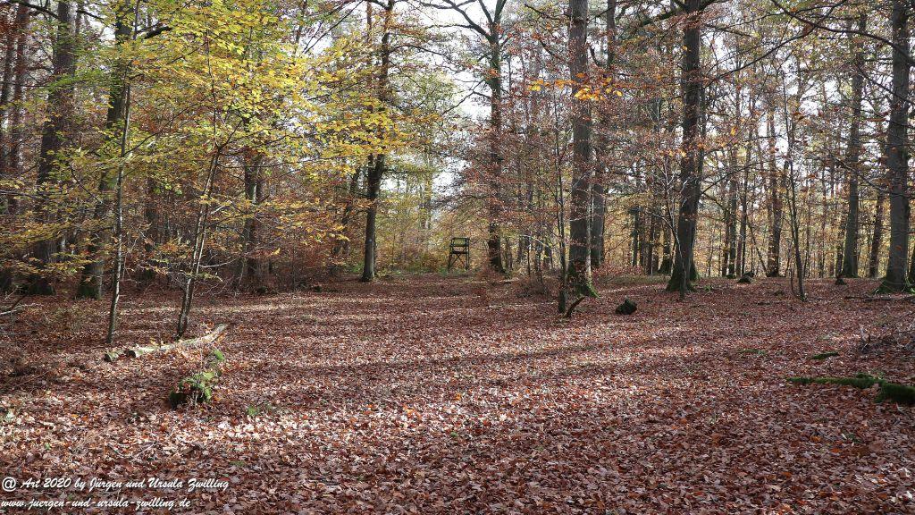 Philosophische Bildwanderung Wollmerschieder Grenzweg Wisper Trail - Taunus