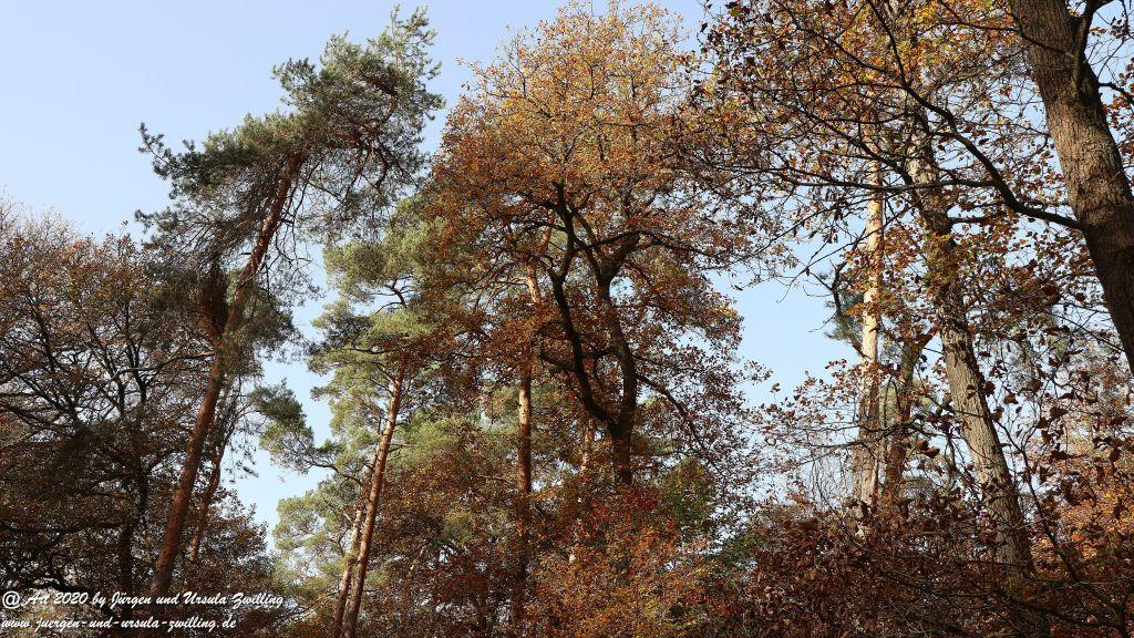 Philosophische Bildwanderung Wollmerschieder Grenzweg Wisper Trail - Taunus
