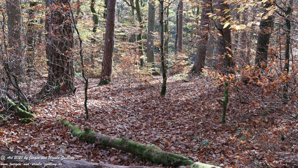 Philosophische Bildwanderung Wollmerschieder Grenzweg Wisper Trail - Taunus