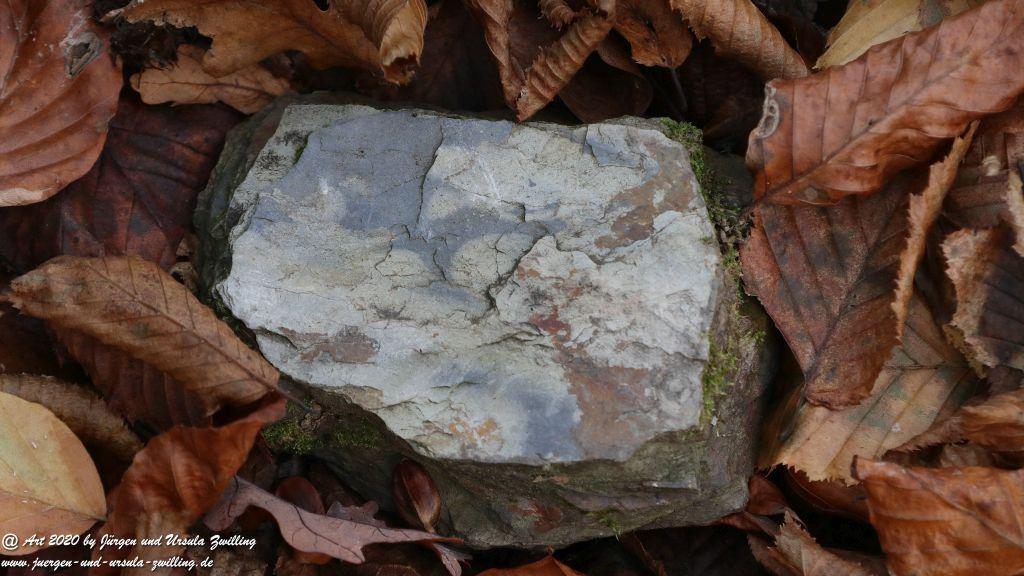 Philosophische Bildwanderung Wollmerschieder Grenzweg Wisper Trail - Taunus