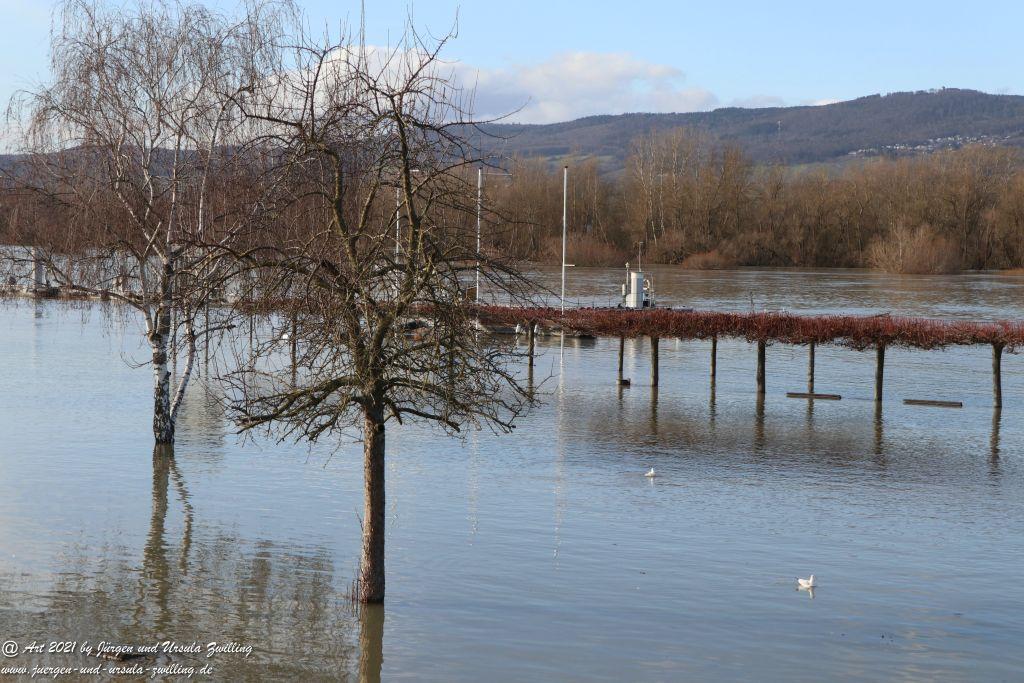 Rheinhochwasser bei Heidenfahrt -Heidesheim - Rheinhessen