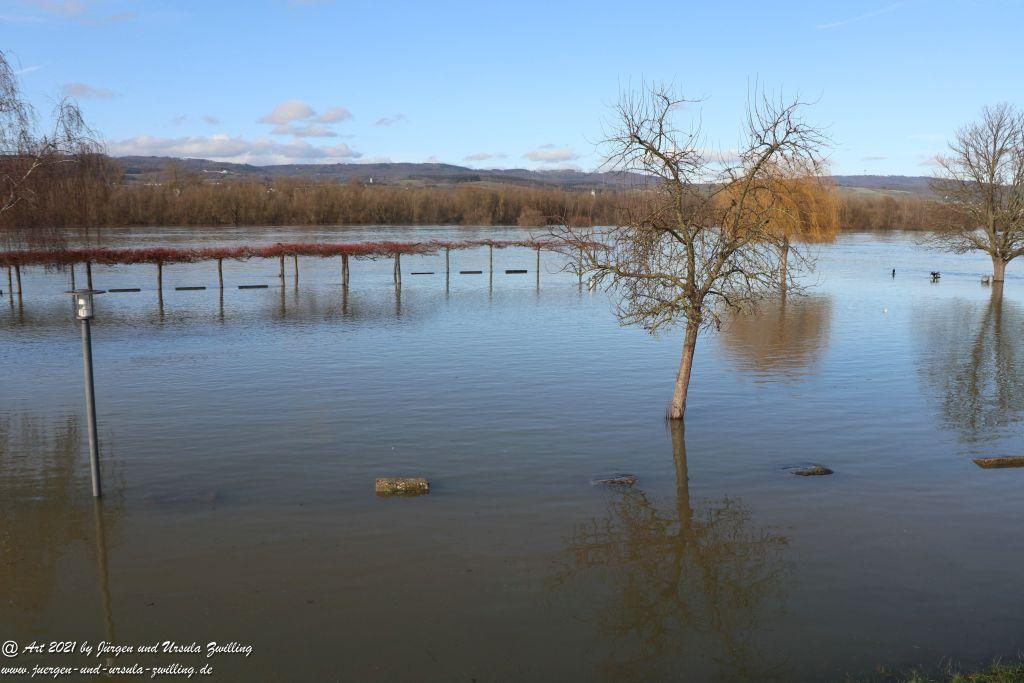 Rheinhochwasser bei Heidenfahrt -Heidesheim - Rheinhessen