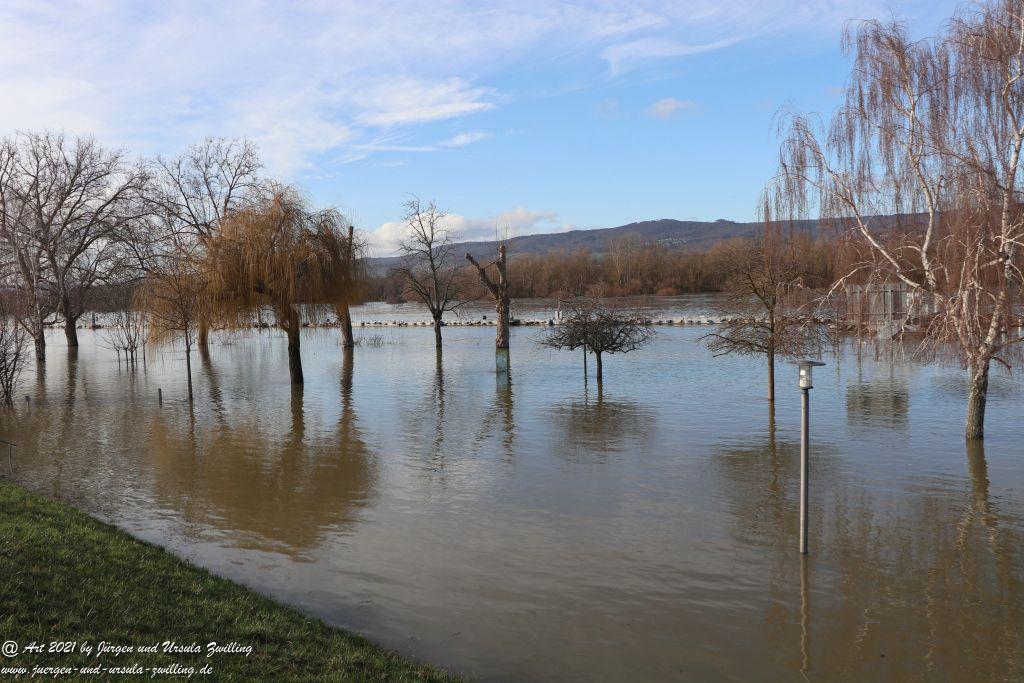 Rheinhochwasser bei Heidenfahrt -Heidesheim - Rheinhessen