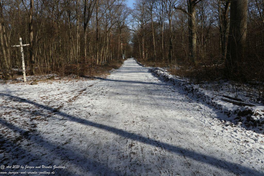 Frostiger Februar in Rheinhessen - Mainz Finthen - Ober Olmer Wald