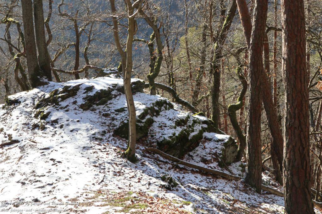 Philosophische Bildwanderung Wispertaler Krönchen -  Wisper Trail - Taunus
