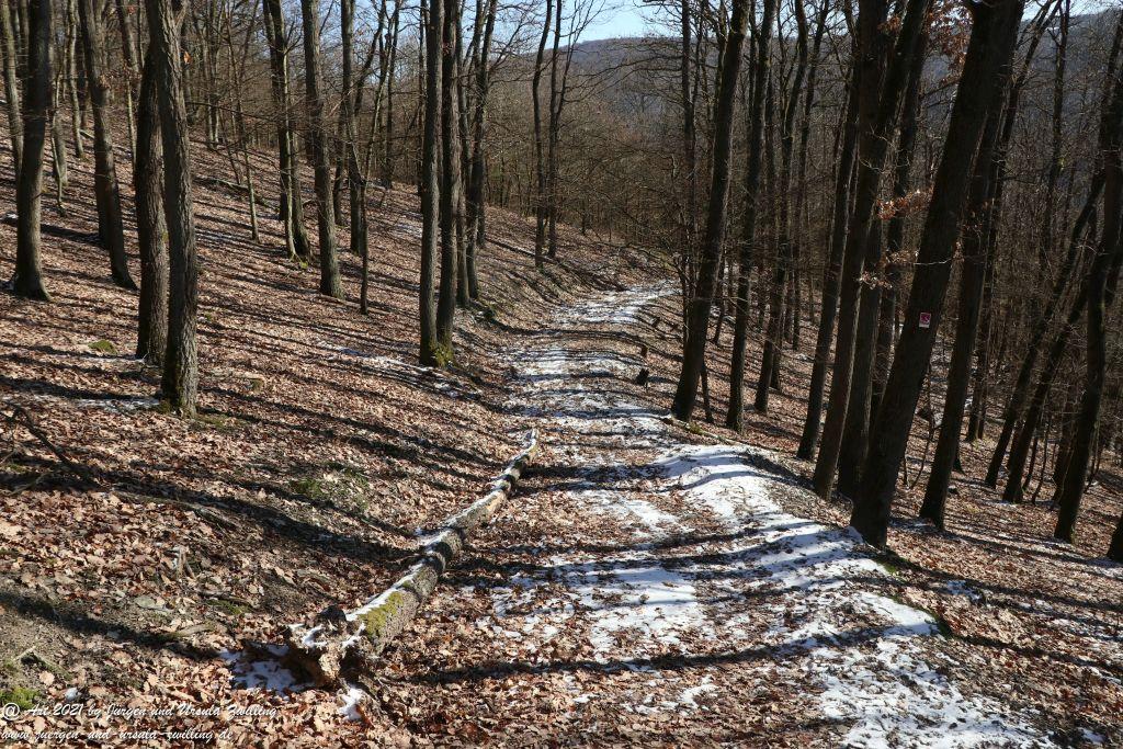 Philosophische Bildwanderung Wispertaler Krönchen -  Wisper Trail - Taunus