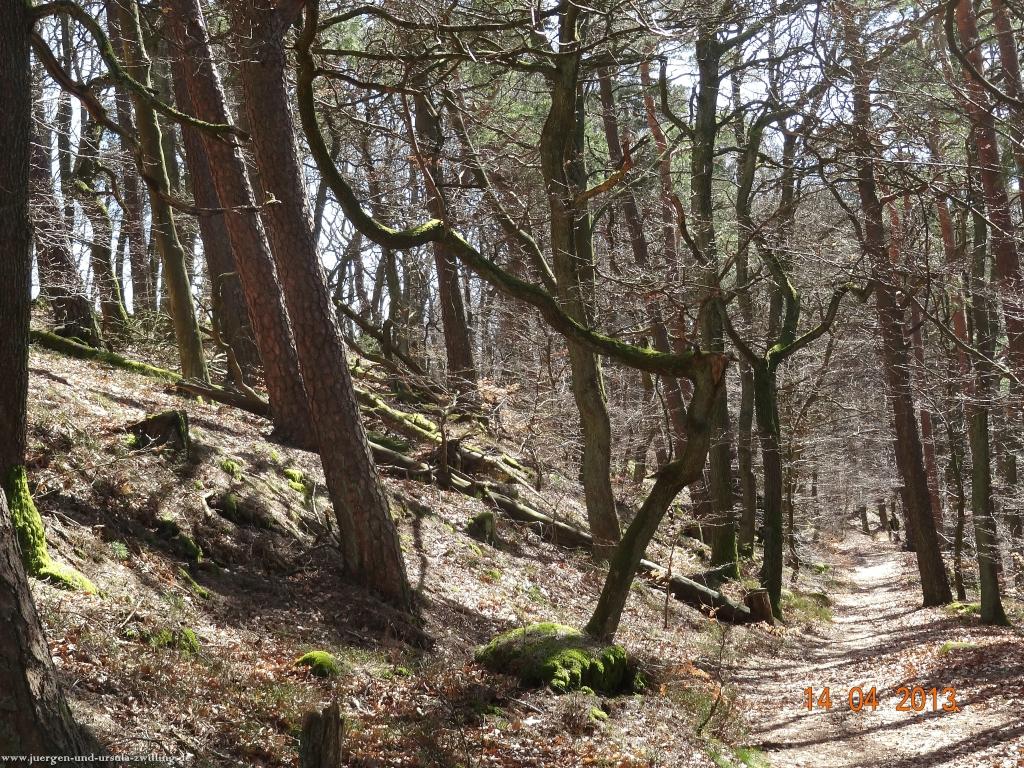 Wandertour Pfälzer Hüttentour